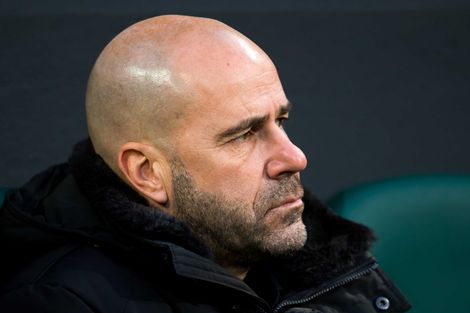 Bosz naar Israëlische miljarden