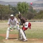 cricket