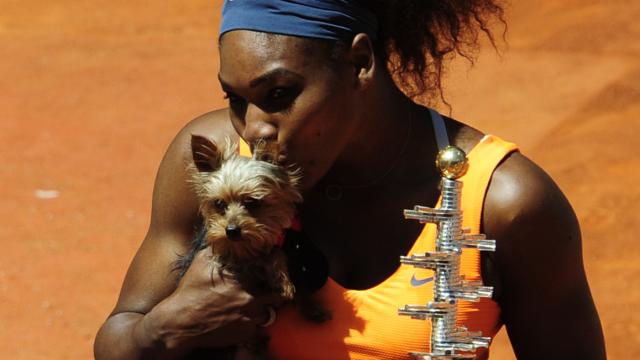 Serena Williams werd ziek van hondenvoer voor duel in Rome