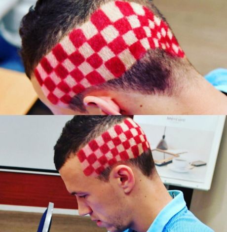 Perisic geknipt en geschoren voor kraker