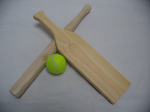 CTSS Plus slagbal