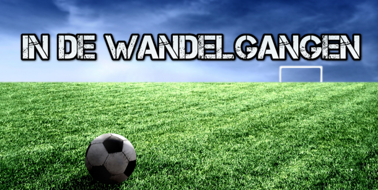 In de Wandelgangen