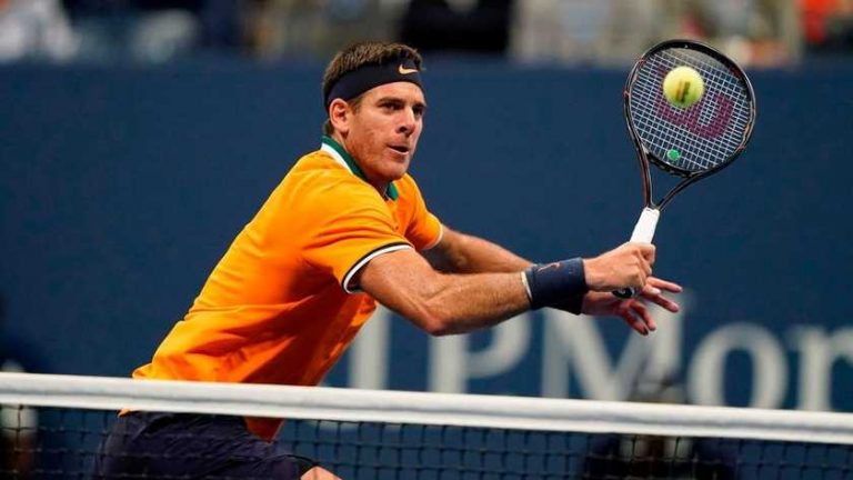Del Potro kon niet beter tegen Djokovic