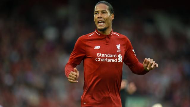 Van Dijk maakt kans op plek in wereldelftal van het jaar