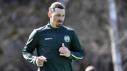 Zlatan ontloopt Italiaanse quarantaine op trainingsveld bij ‘zijn’ Hammarby