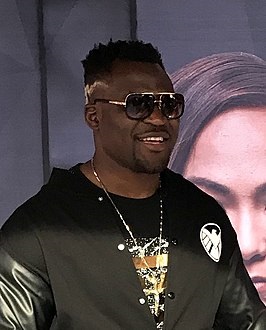 Francis N’Gannou de nieuwe UFC – Heavyweight champ