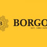 Borgoe Banner QN Website