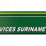 DTS Logo L-1
